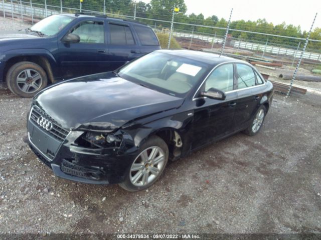 Photo 1 VIN: WAUBFAFL6CN006646 - AUDI A4 