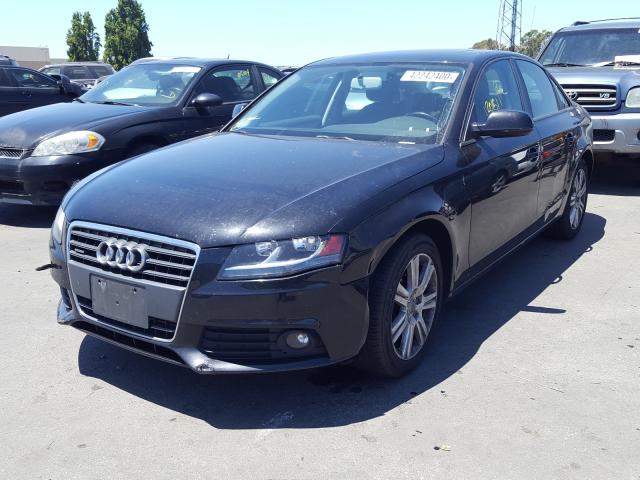 Photo 1 VIN: WAUBFAFL7AN028880 - AUDI A4 PREMIUM 