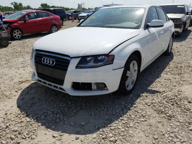 Photo 1 VIN: WAUBFAFL7AN029415 - AUDI A4 