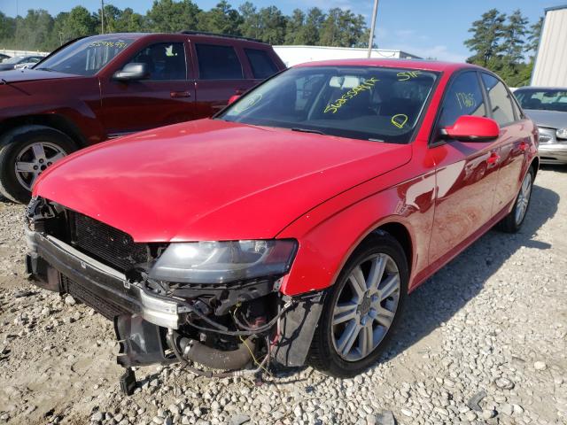 Photo 1 VIN: WAUBFAFL7AN029673 - AUDI A4 PREMIUM 