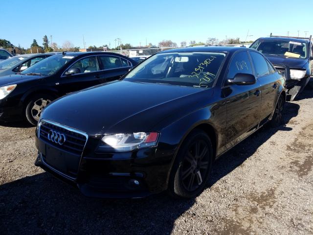 Photo 1 VIN: WAUBFAFL7AN065430 - AUDI A4 PREMIUM 