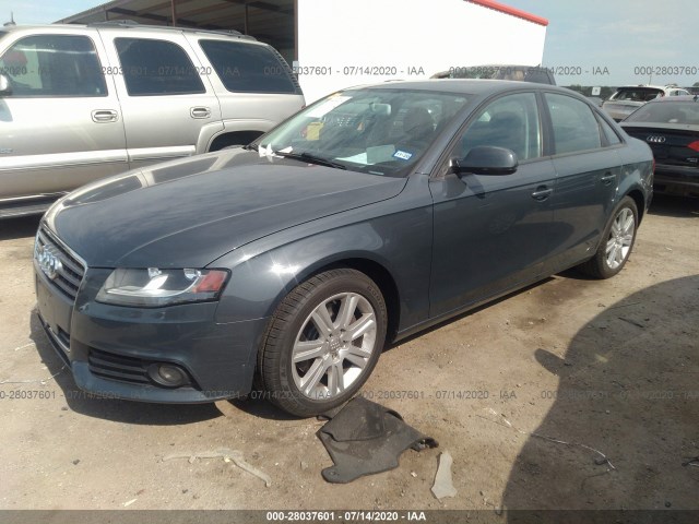 Photo 1 VIN: WAUBFAFL7AN069316 - AUDI A4 