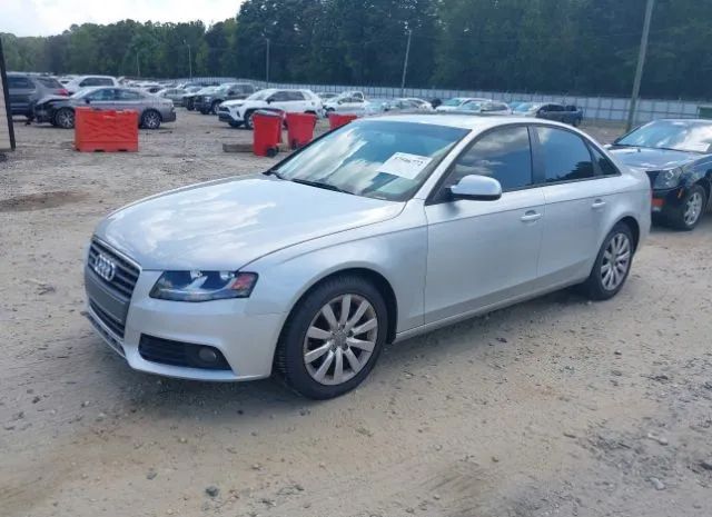 Photo 1 VIN: WAUBFAFL7BN007934 - AUDI A4 