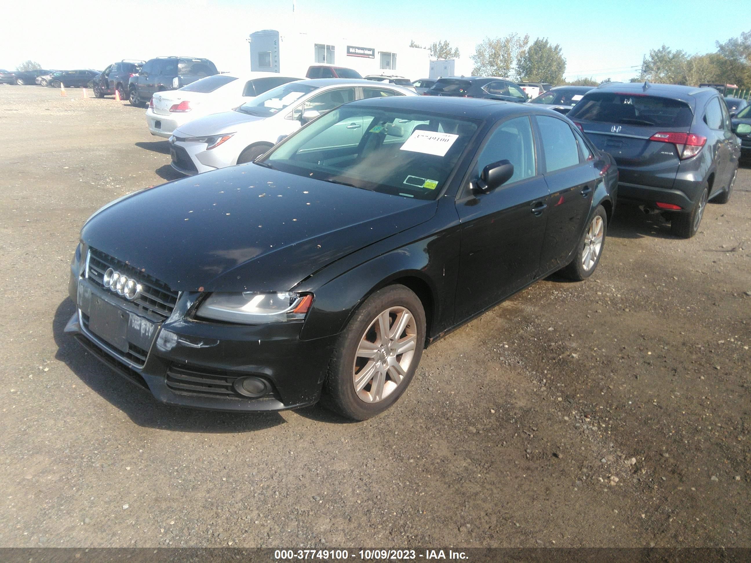 Photo 1 VIN: WAUBFAFL7BN020523 - AUDI A4 