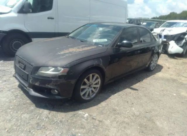 Photo 1 VIN: WAUBFAFL7BN052520 - AUDI A4 