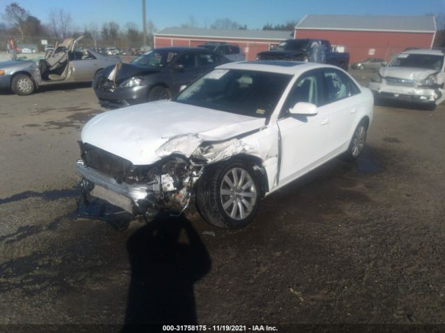 Photo 1 VIN: WAUBFAFL7DN044761 - AUDI A4 