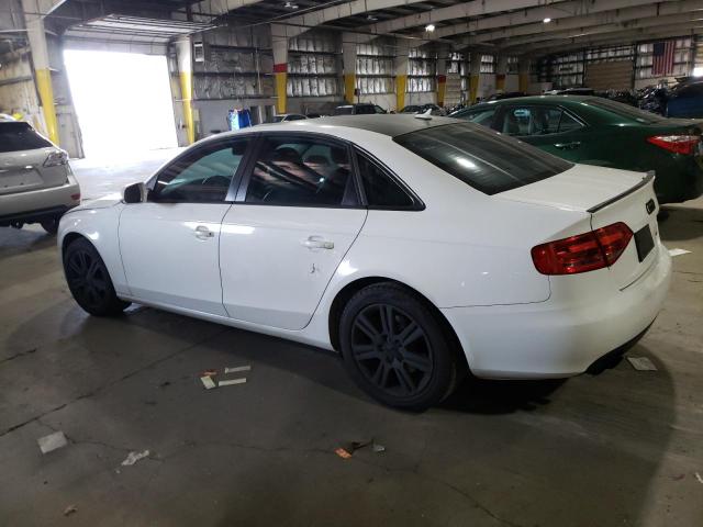 Photo 1 VIN: WAUBFAFL8AN007388 - AUDI A4 