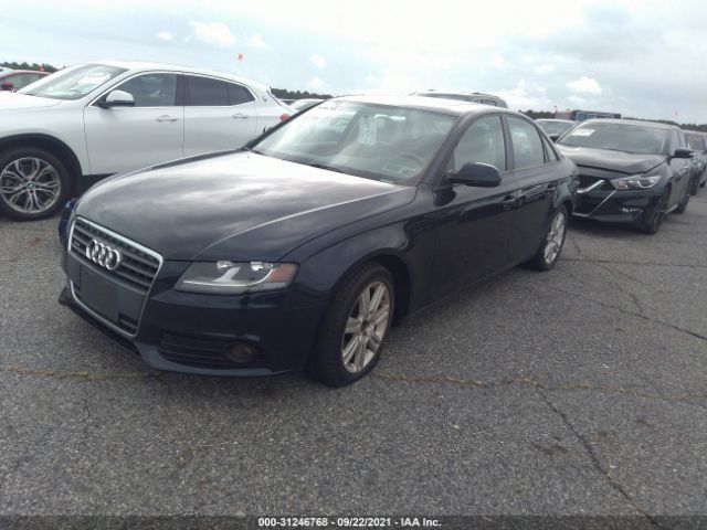 Photo 1 VIN: WAUBFAFL8AN042304 - AUDI A4 