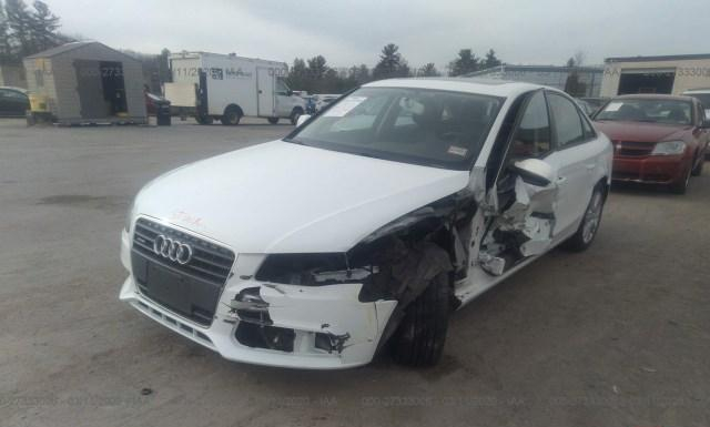 Photo 1 VIN: WAUBFAFL8BN025388 - AUDI A4 