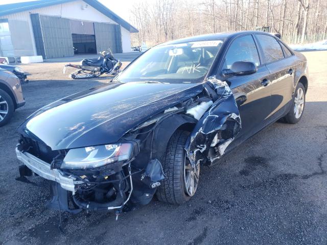 Photo 1 VIN: WAUBFAFL8BN047407 - AUDI A4 PREMIUM 