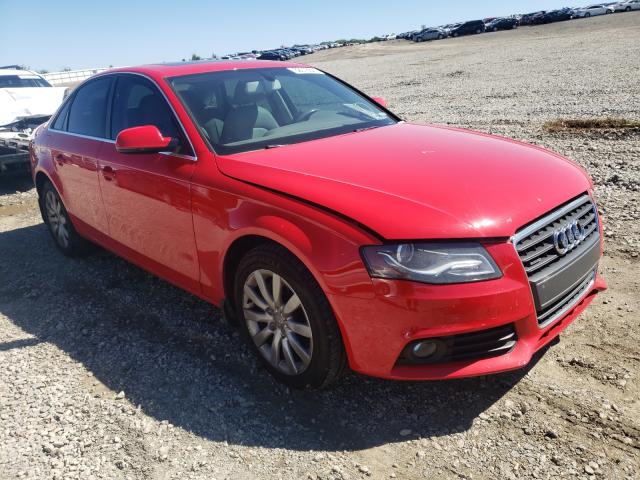 Photo 0 VIN: WAUBFAFL8CN020709 - AUDI A4 