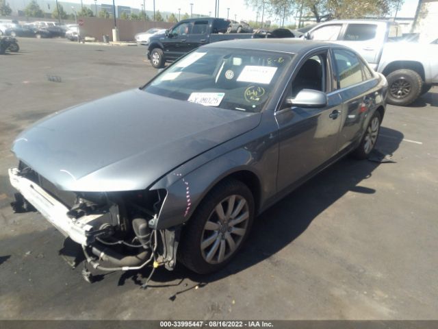 Photo 1 VIN: WAUBFAFL8DN003023 - AUDI A4 