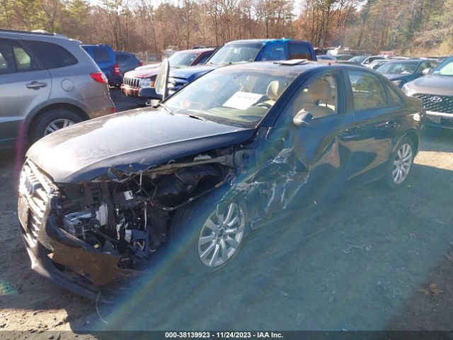 Photo 1 VIN: WAUBFAFL8DN012109 - AUDI A4 