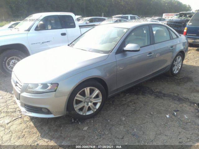 Photo 1 VIN: WAUBFAFL9BN016666 - AUDI A4 