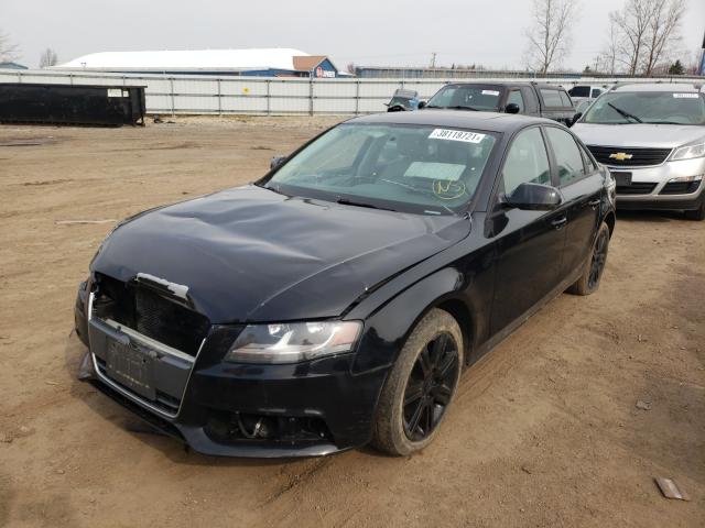 Photo 1 VIN: WAUBFAFL9BN031202 - AUDI A4 PREMIUM 