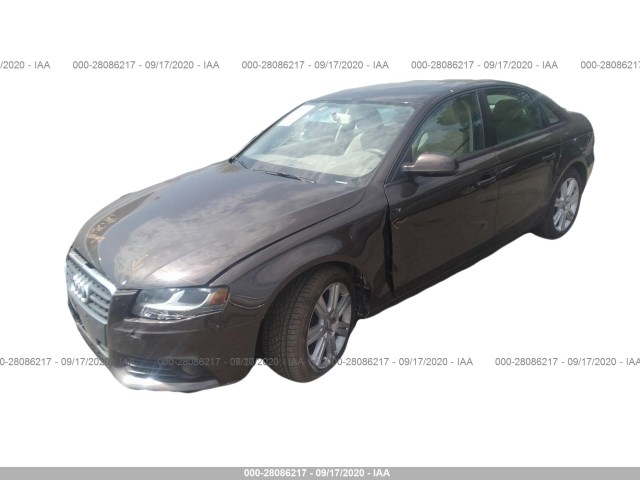 Photo 1 VIN: WAUBFAFL9BN038313 - AUDI A4 