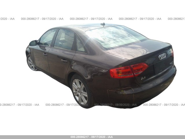 Photo 2 VIN: WAUBFAFL9BN038313 - AUDI A4 