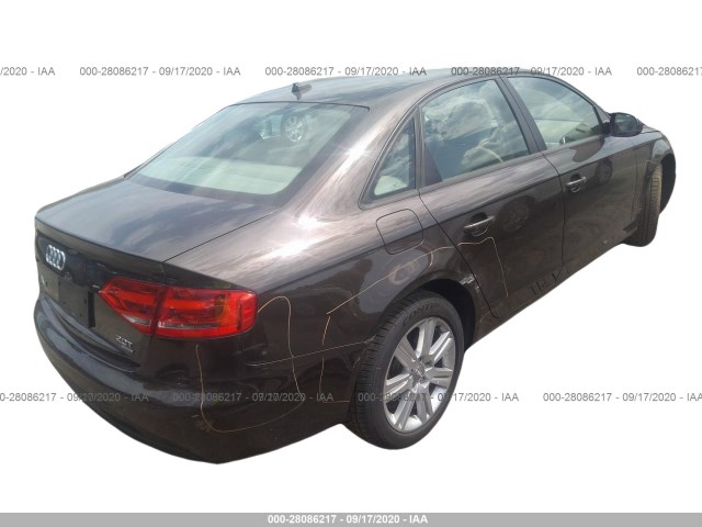 Photo 3 VIN: WAUBFAFL9BN038313 - AUDI A4 