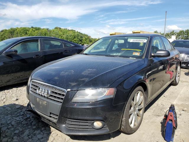 Photo 1 VIN: WAUBFAFL9BN040398 - AUDI A4 