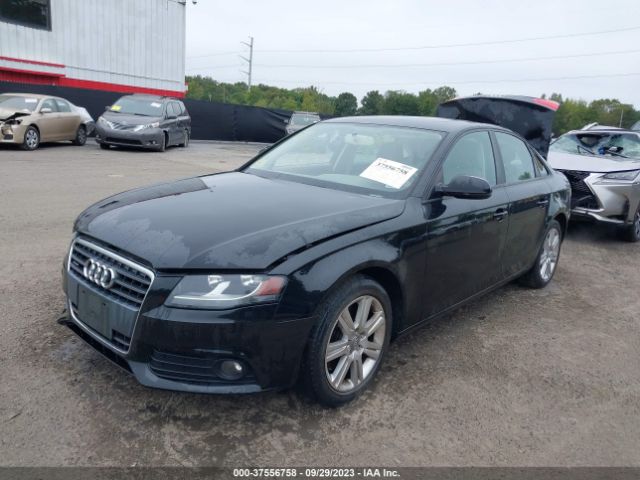 Photo 1 VIN: WAUBFAFL9BN047884 - AUDI A4 