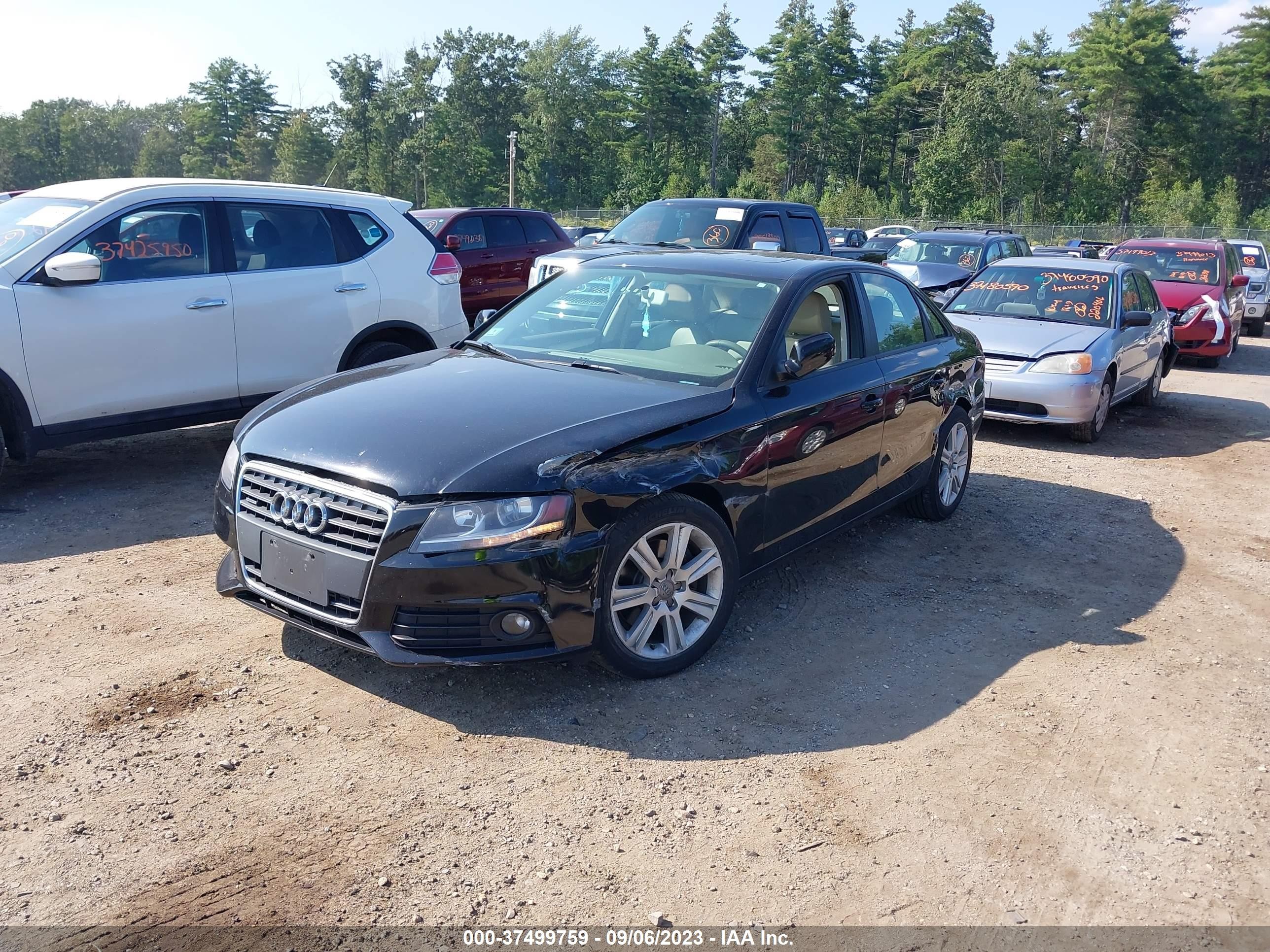 Photo 1 VIN: WAUBFAFL9BN049411 - AUDI A4 