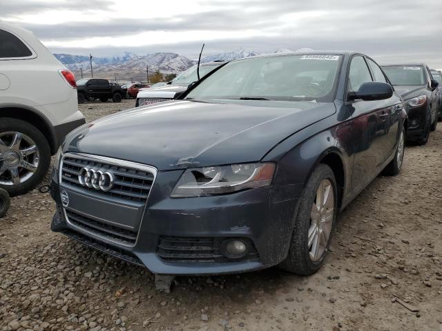 Photo 1 VIN: WAUBFAFLXAN032261 - AUDI A4 PREMIUM 