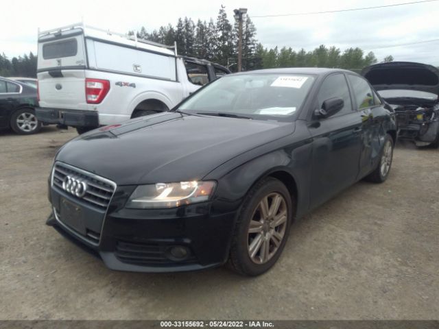 Photo 1 VIN: WAUBFAFLXBN010651 - AUDI A4 