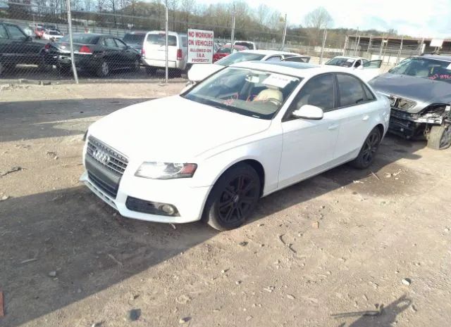 Photo 1 VIN: WAUBFAFLXBN012268 - AUDI A4 