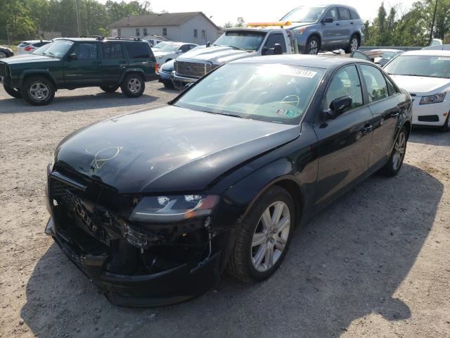 Photo 1 VIN: WAUBFAFLXBN021102 - AUDI A4 PREMIUM 