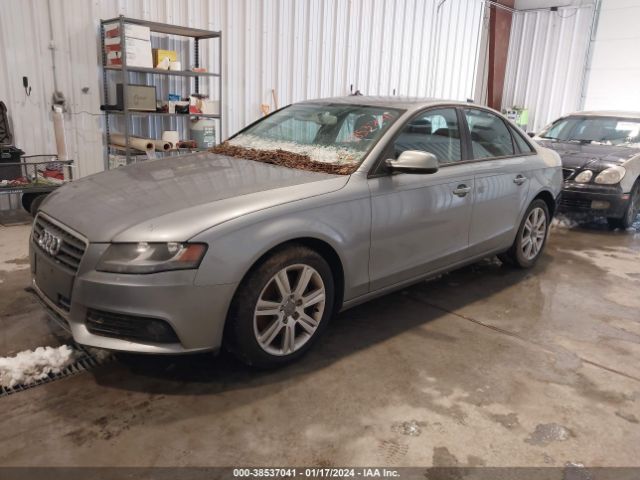 Photo 1 VIN: WAUBFAFLXBN036098 - AUDI A4 