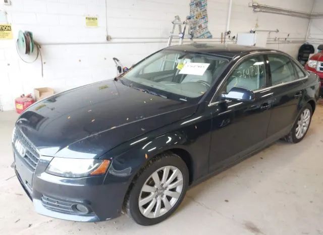 Photo 1 VIN: WAUBFAFLXCN007315 - AUDI A4 