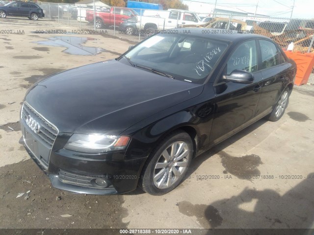 Photo 1 VIN: WAUBFAFLXCN020484 - AUDI A4 