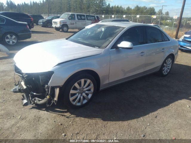 Photo 1 VIN: WAUBFAFLXDN039070 - AUDI A4 