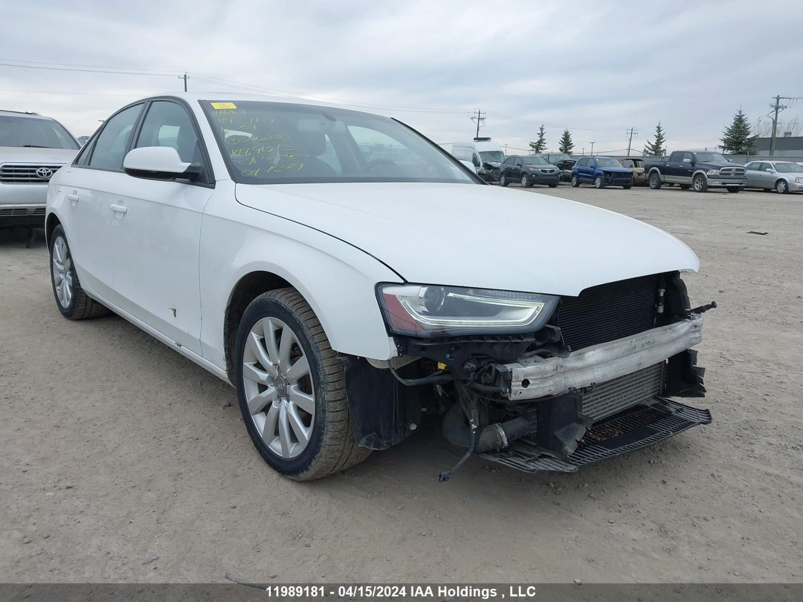 Photo 0 VIN: WAUBFCFL1DN046260 - AUDI A4 