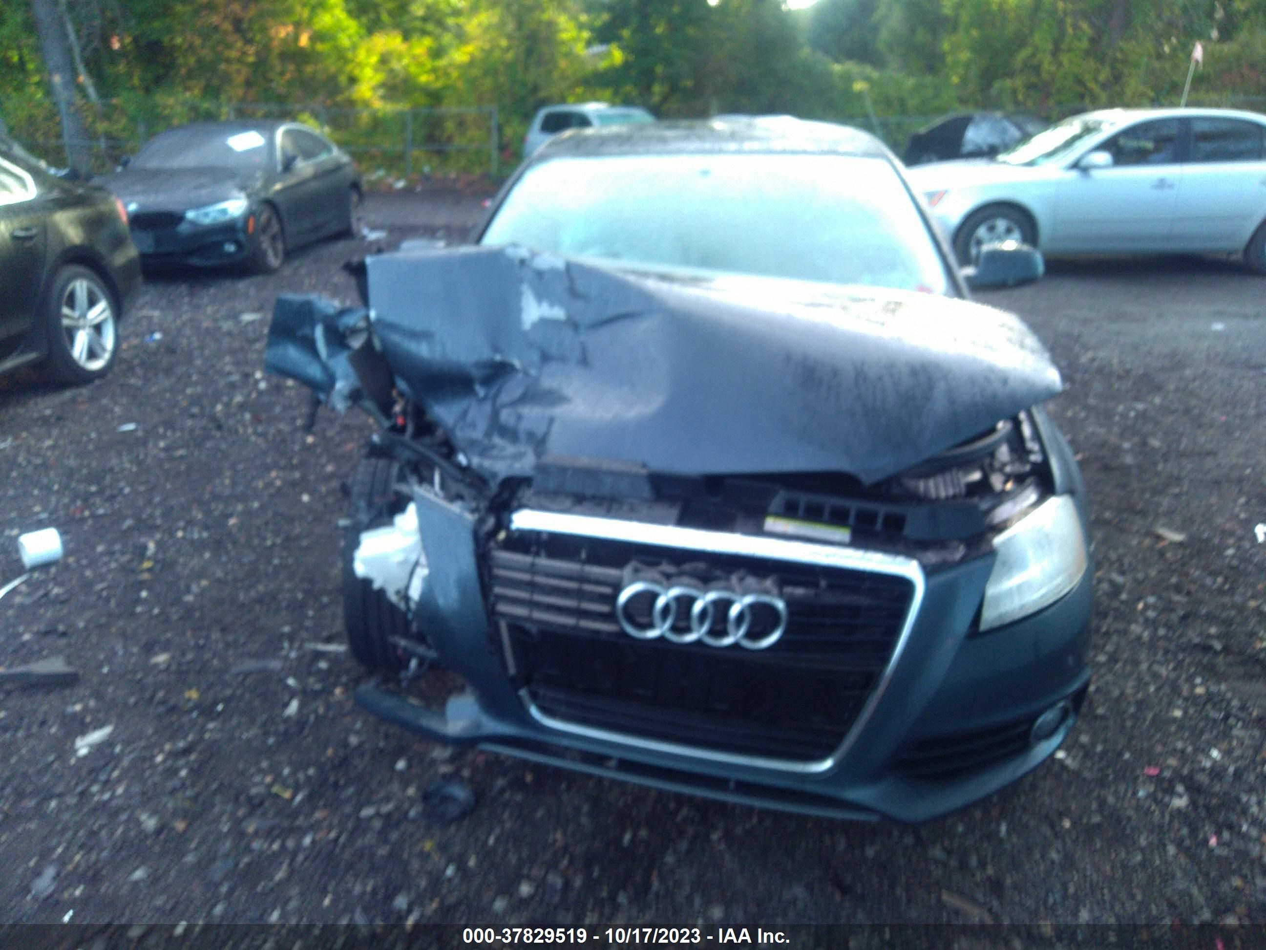 Photo 11 VIN: WAUBJAFM2CA051369 - AUDI A3 