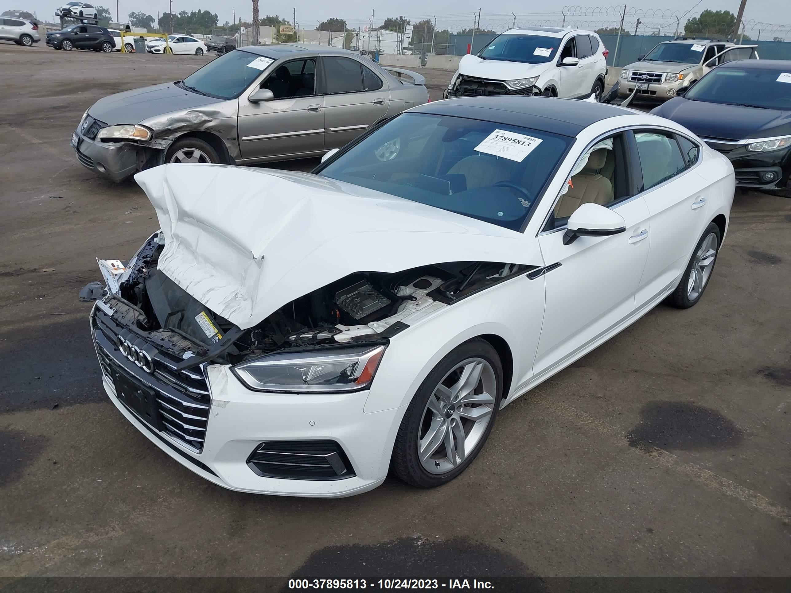 Photo 1 VIN: WAUBNCF56KA079148 - AUDI A5 