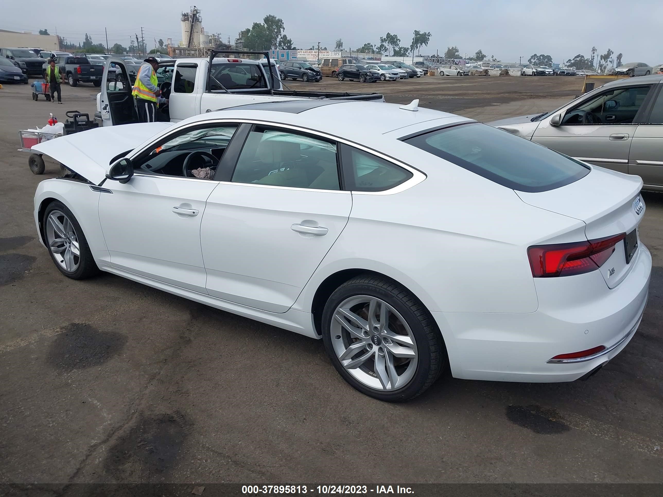 Photo 13 VIN: WAUBNCF56KA079148 - AUDI A5 