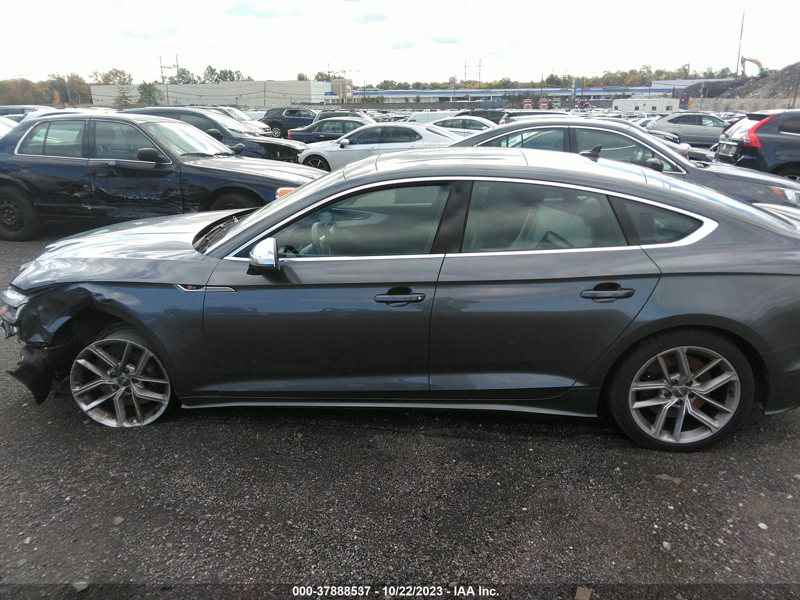 Photo 13 VIN: WAUC4CF52MA008815 - AUDI S5 