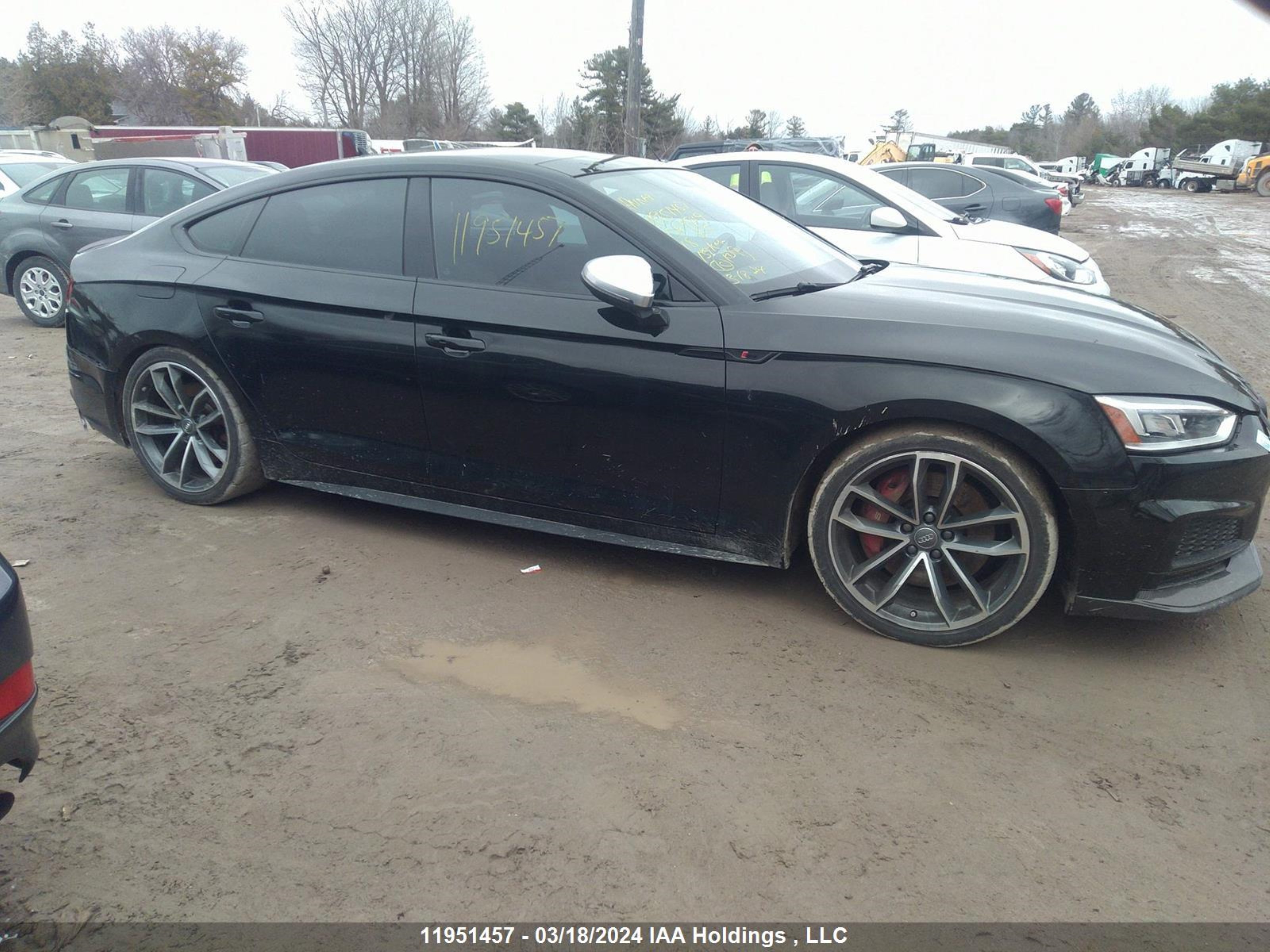 Photo 12 VIN: WAUC4CF59JA069719 - AUDI S5 