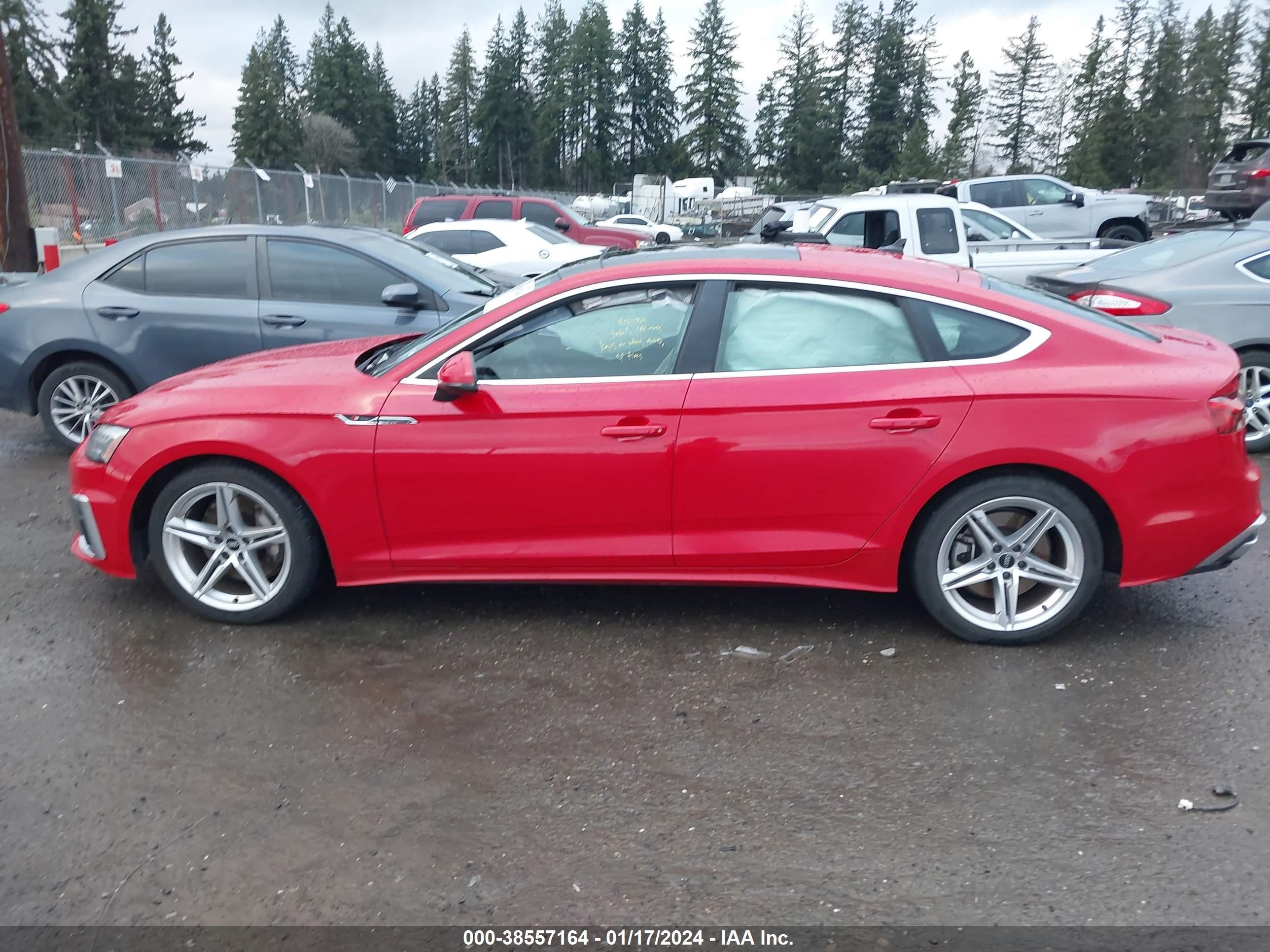 Photo 13 VIN: WAUDACF52MA053492 - AUDI A5 