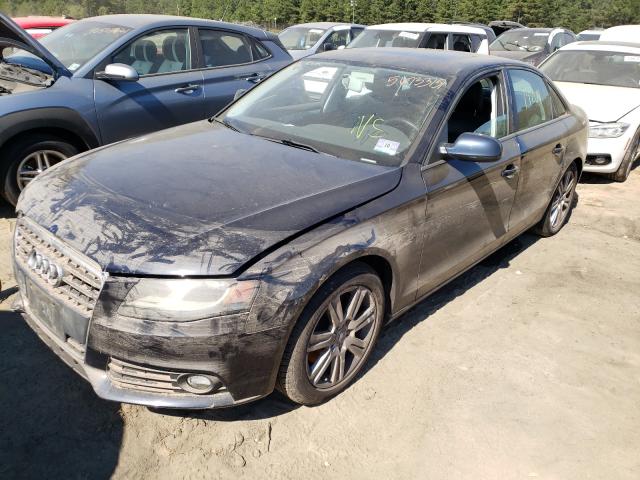 Photo 1 VIN: WAUDFAFL1AN010870 - AUDI A4 PREMIUM 