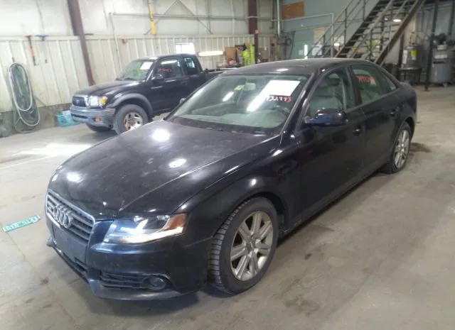 Photo 1 VIN: WAUDFAFL2BA110761 - AUDI A4 