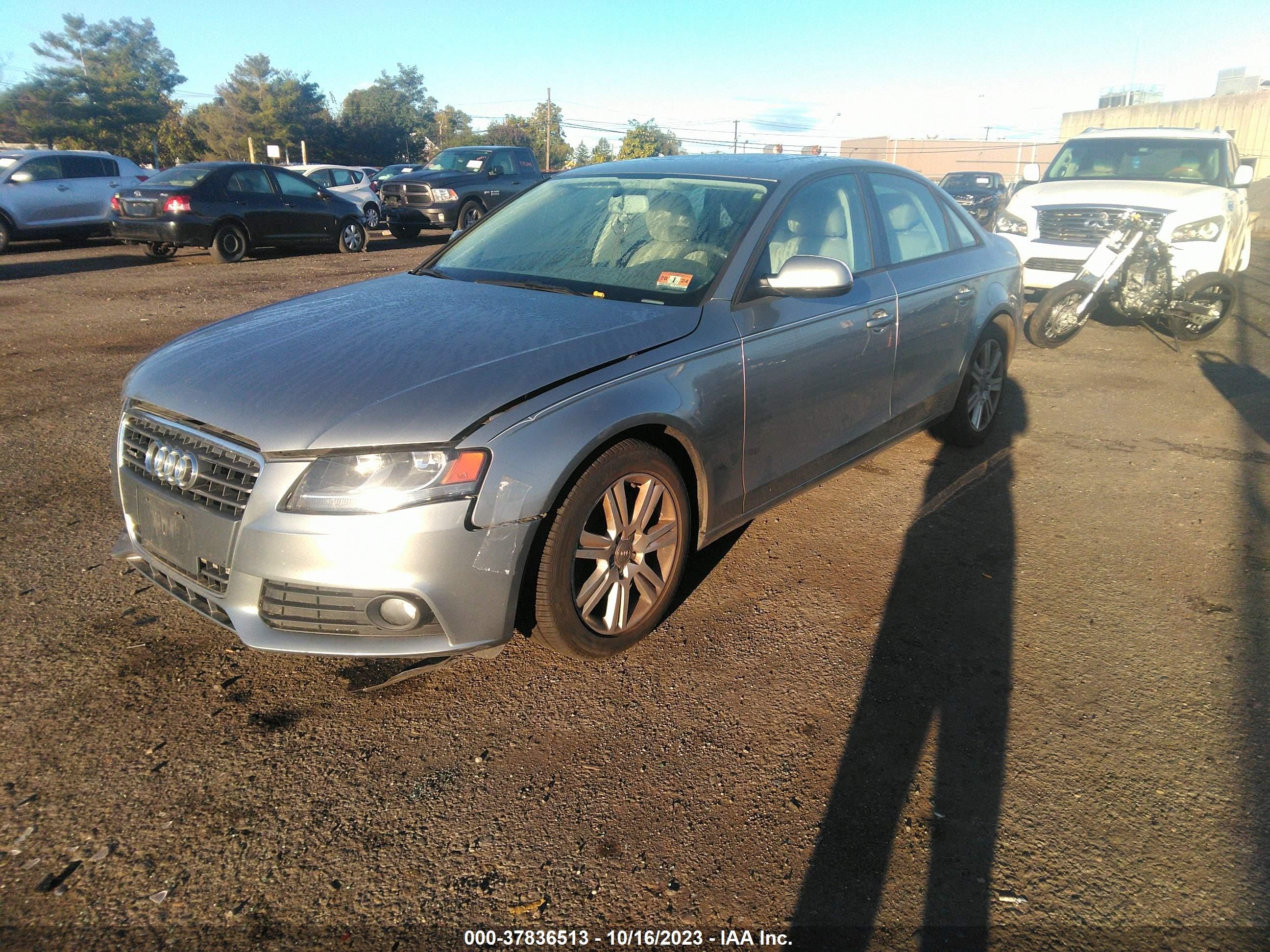 Photo 1 VIN: WAUDFAFL6BN036186 - AUDI A4 