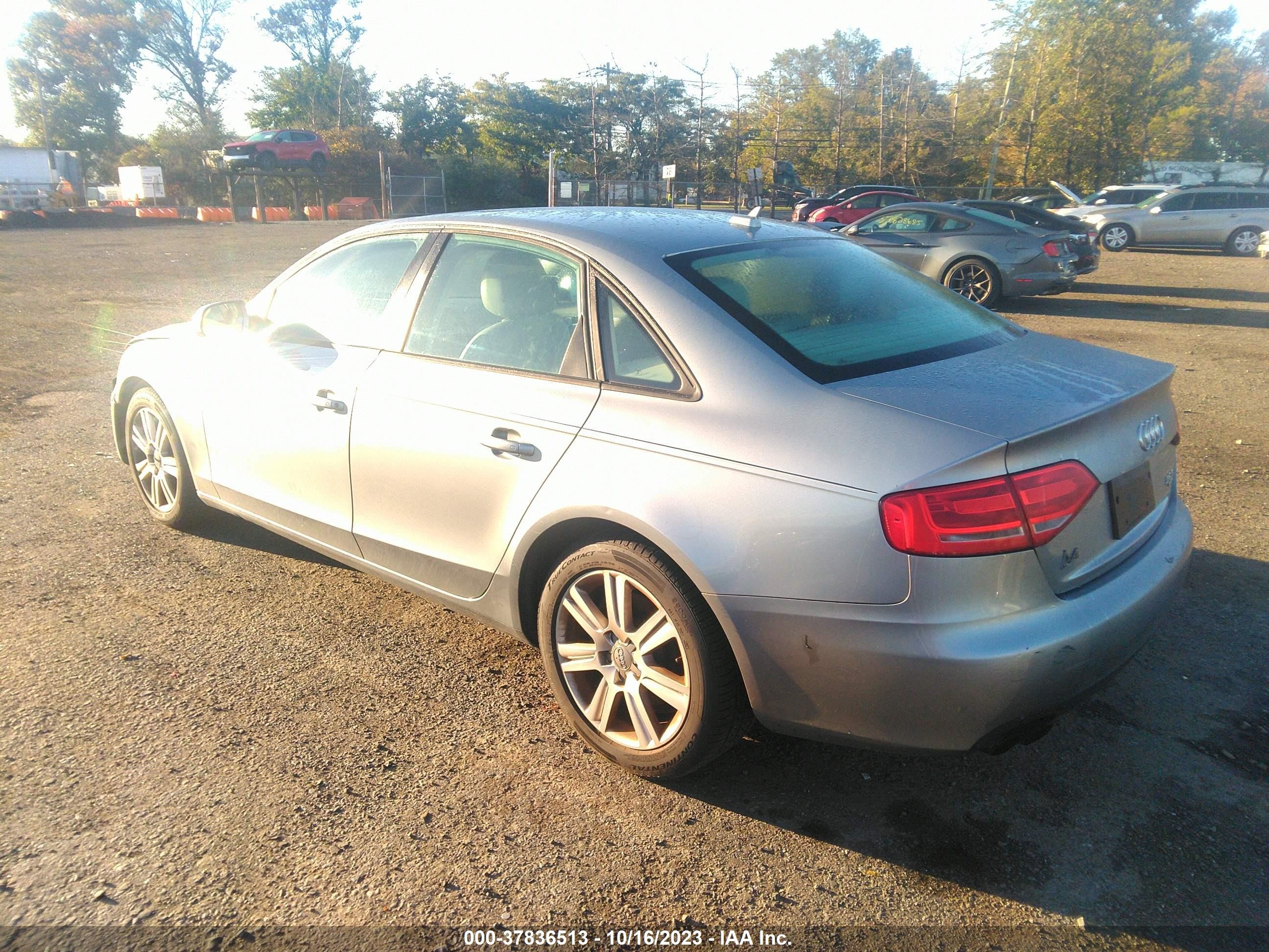 Photo 2 VIN: WAUDFAFL6BN036186 - AUDI A4 