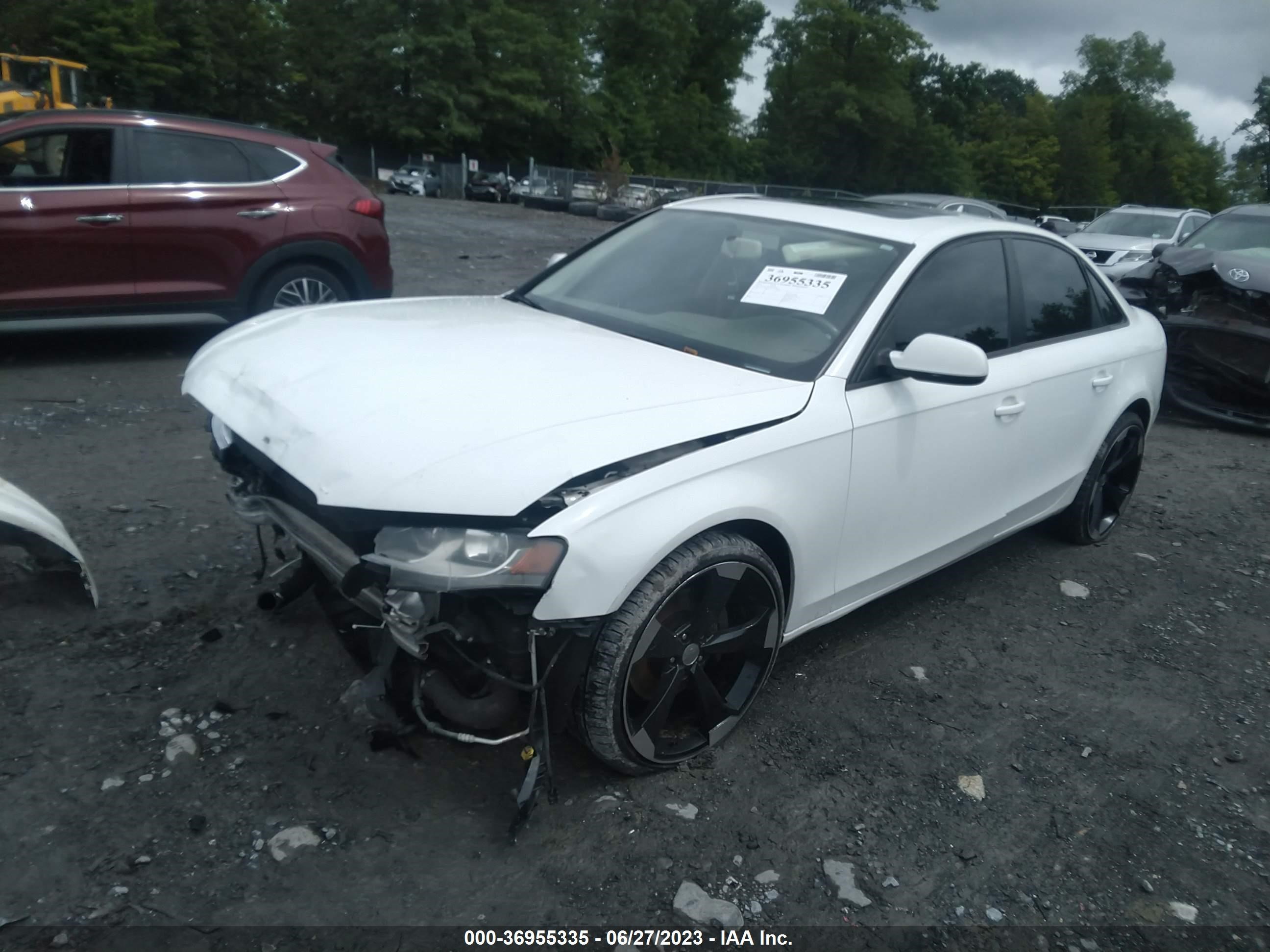 Photo 1 VIN: WAUDFAFL9BN049482 - AUDI A4 