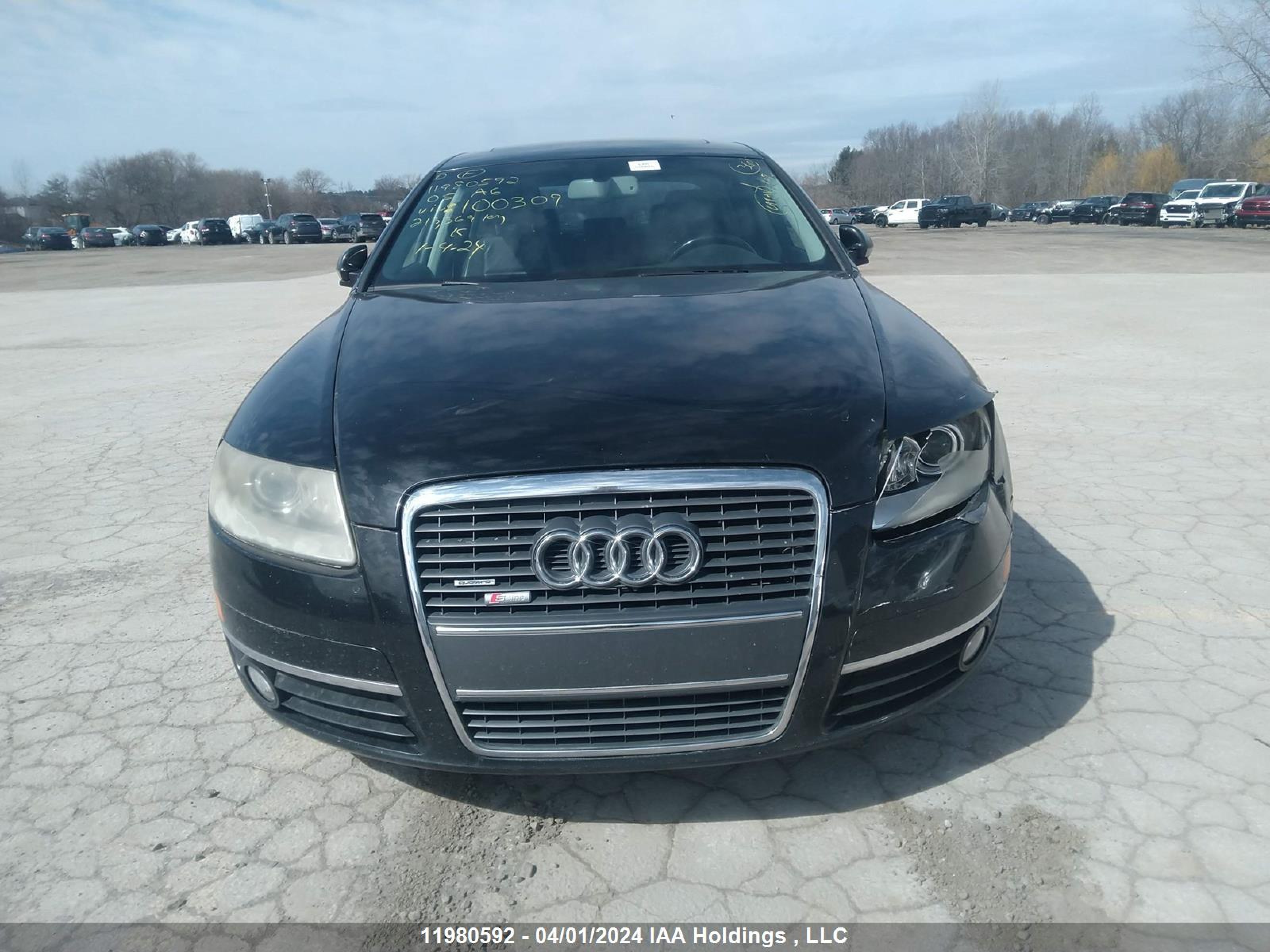 Photo 11 VIN: WAUDG74F85N100309 - AUDI A6 