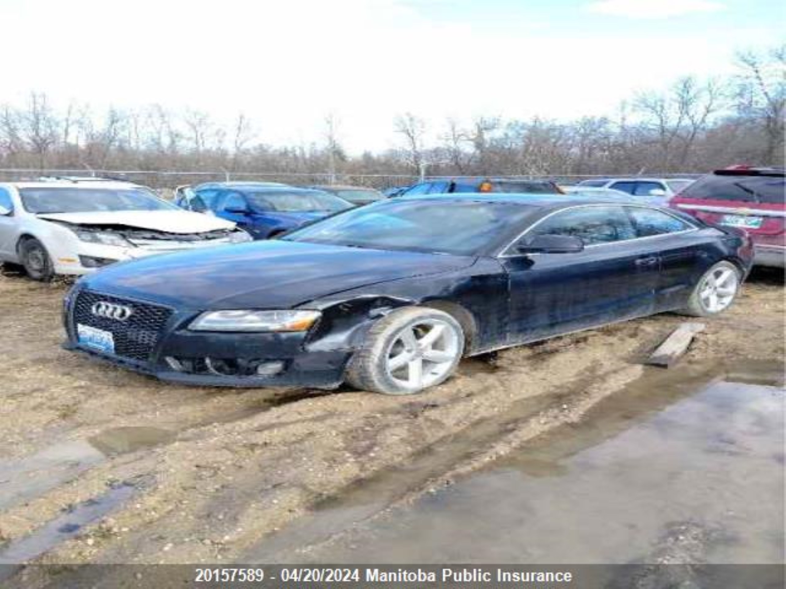 Photo 1 VIN: WAUDK68T79A046264 - AUDI NULL 