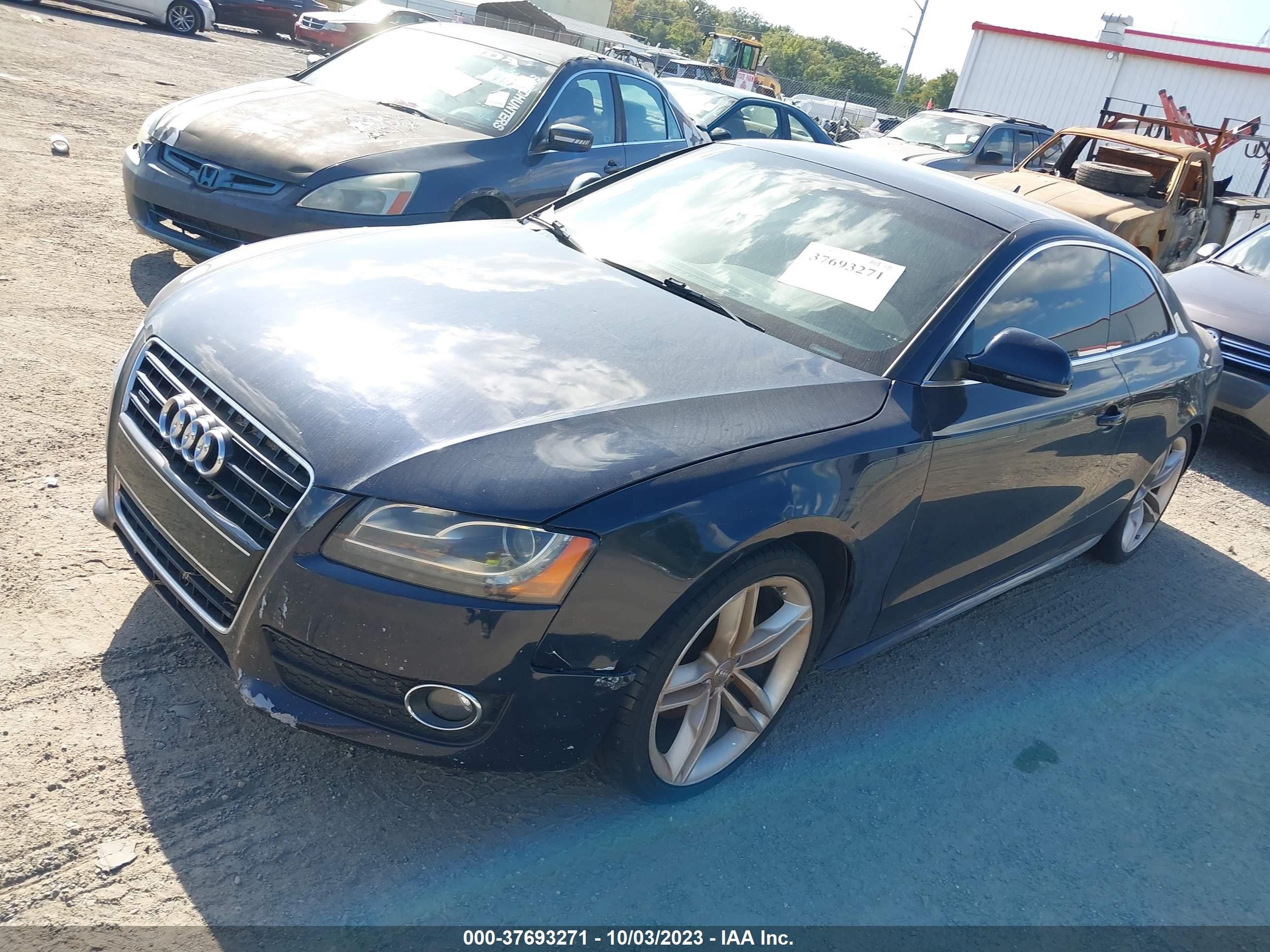 Photo 1 VIN: WAUDK78T29A013713 - AUDI A5 