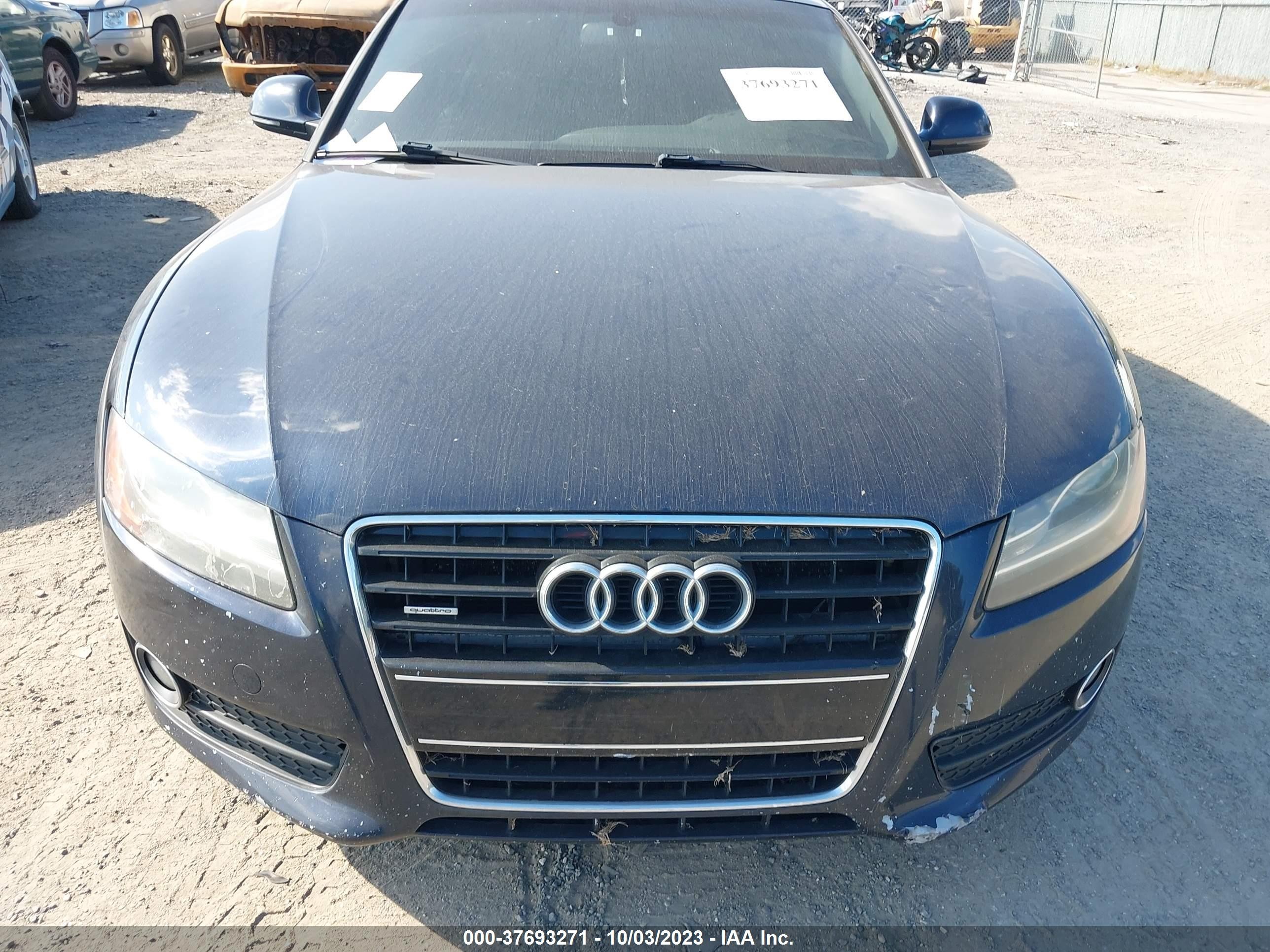 Photo 9 VIN: WAUDK78T29A013713 - AUDI A5 