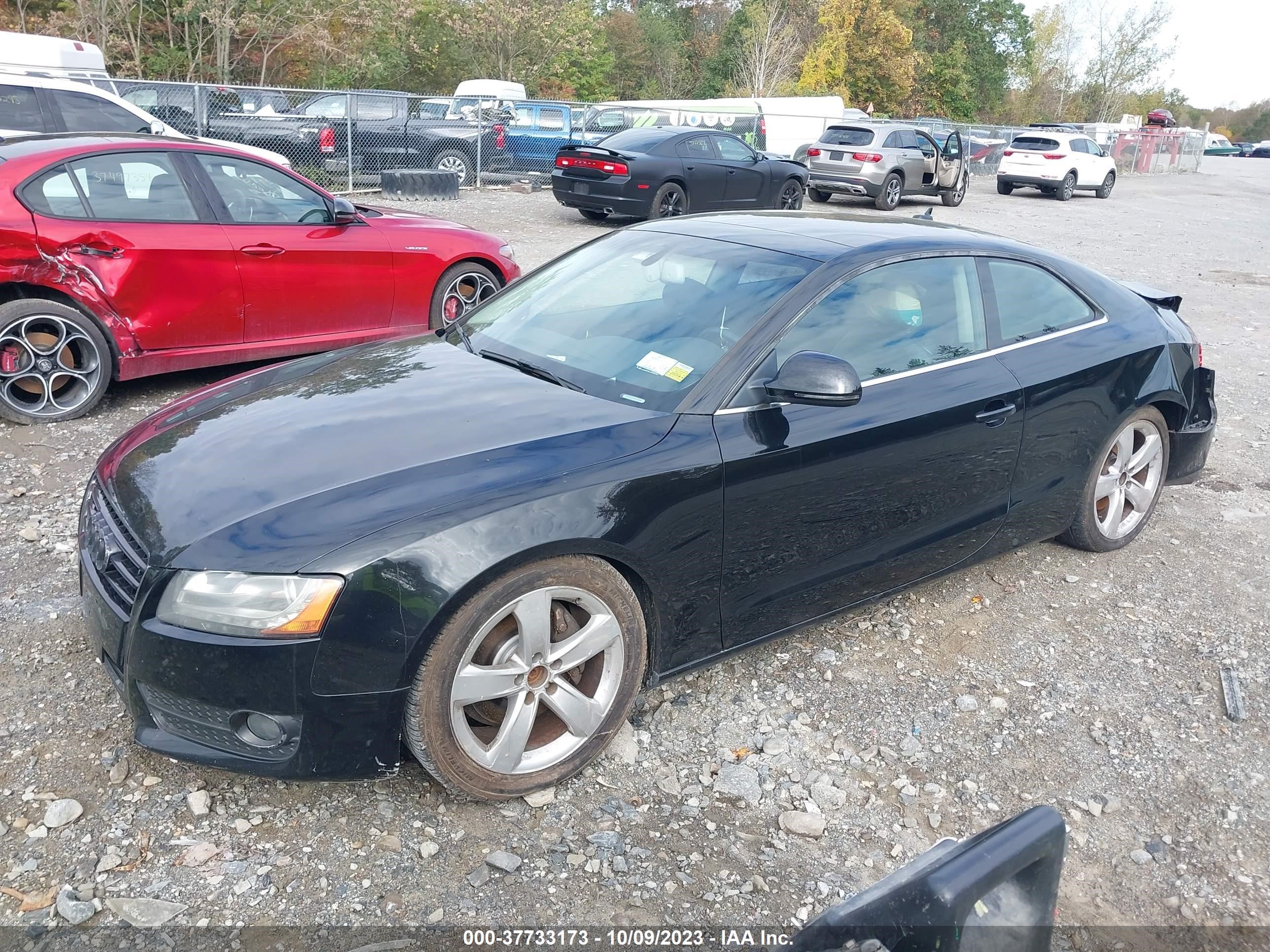 Photo 1 VIN: WAUDK78T69A032684 - AUDI A5 